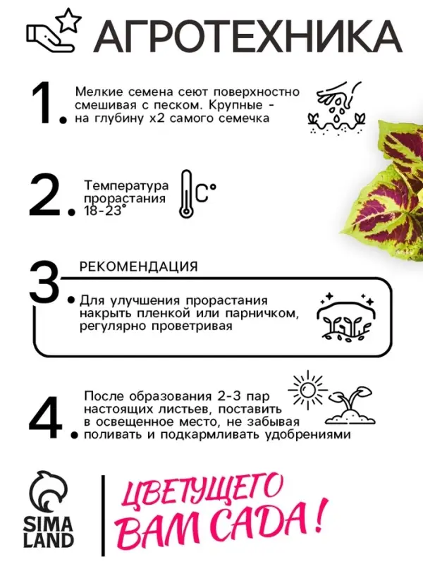 Семена цветов Колеус &laquo;Визард&raquo;, мозаика, &laquo;Семена Алтая&raquo;, цветной пакет, 5 шт.