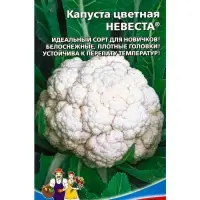 Семена Капуста цветная &laquo;Невеста&raquo; 0.25 г