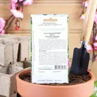 Семена Цветов Петуния махровая &laquo;Дуо Горная лаванда&raquo;, F1, Premium seeds