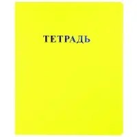 Комплект 12 тетрадей, 48 листов в клетку, 60 г, матовая обложка