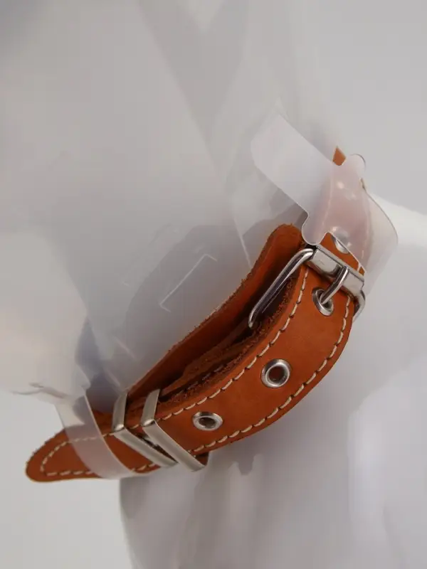 Ветеринарный воротник с креплением на ошейник, ОШ 13-28.5 см, высота 15 см, без ошейника