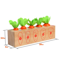 Развивающий набор «Посади разные морковки» 20 × 5,5 × 5 см