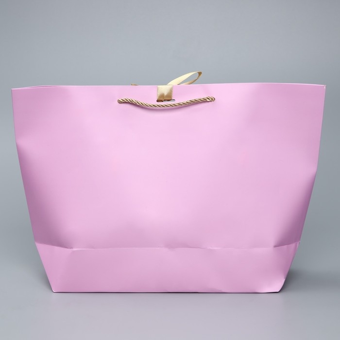 Пакет подарочный, упаковка, «Present», 30 х 27.5 х 12 см Пакет подарочный, упаковка, «Present», 30 х 27.5 х 12 см