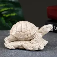 Фигурка &laquo;Черепаха на камне&raquo;, слоновая кость, 11&times;7&times;5.5 см