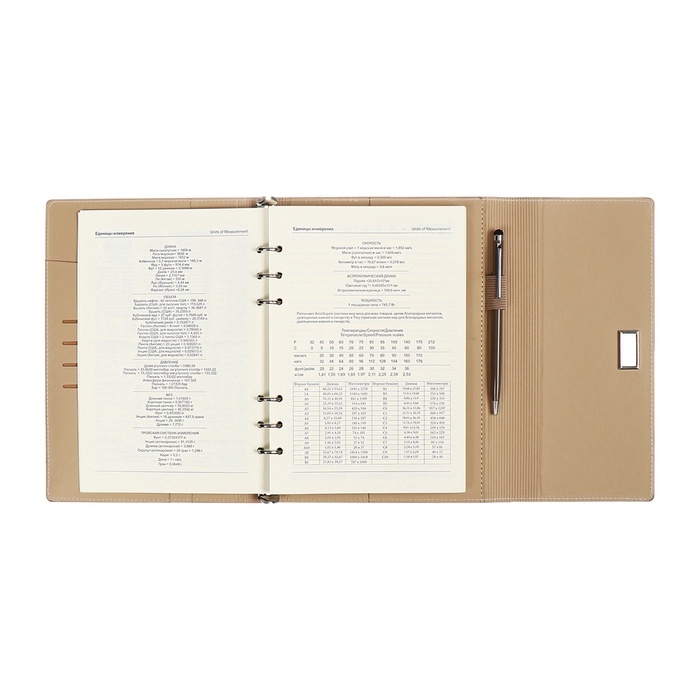 Органайзер на кольцах А5, 100л, линия, к/зам, с ручкой, в подар. короб., Серый Органайзер на кольцах А5, 100л, линия, к/зам, с ручкой, в подар. короб., Серый