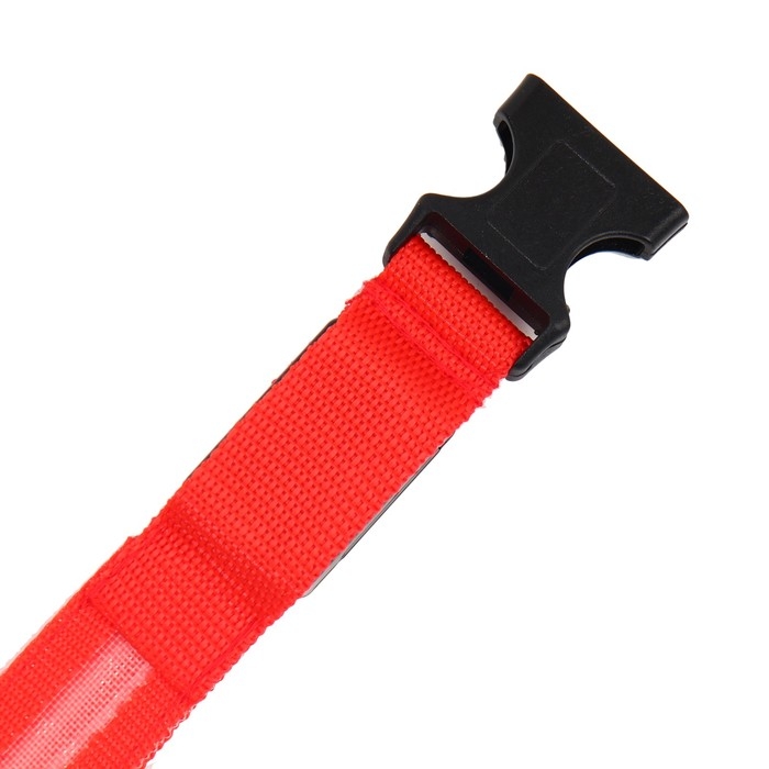 Ошейник с подсветкой размер XL, ОШ 52-60 х 2,5 см, 3 режима свечения красный Ошейник с подсветкой размер XL, ОШ 52-60 х 2,5 см, 3 режима свечения красный