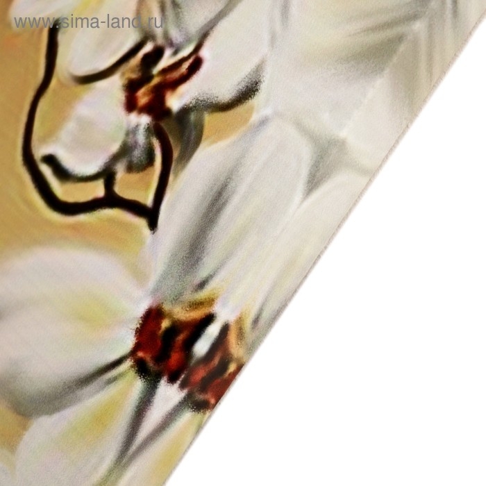 Модульная картина на подрамнике  Модульная картина на подрамнике "Цветы в чаше"  2-25*63; 2-25*71; 1-25*80: 125х80