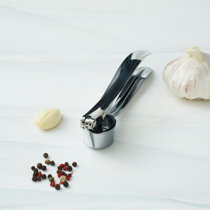 Пресс для чеснока Доляна «Эрнест», 15 см, цвет серебряный Пресс для чеснока Доляна «Эрнест», 15 см, цвет серебряный