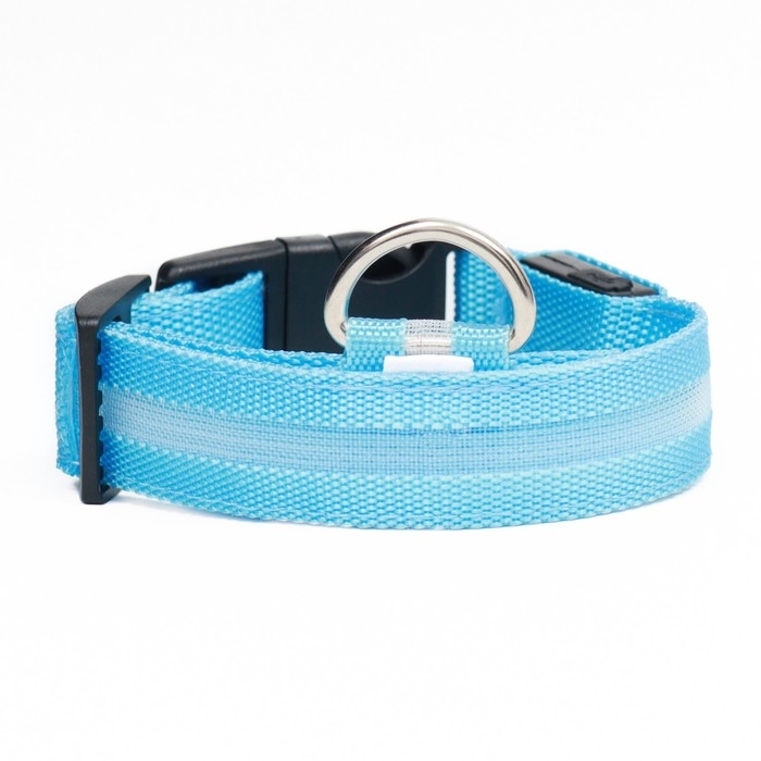 Ошейник с подсветкой размер S, ОШ 35-43 х 2,5 см, 3 режима свечения голубой Ошейник с подсветкой размер S, ОШ 35-43 х 2,5 см, 3 режима свечения голубой