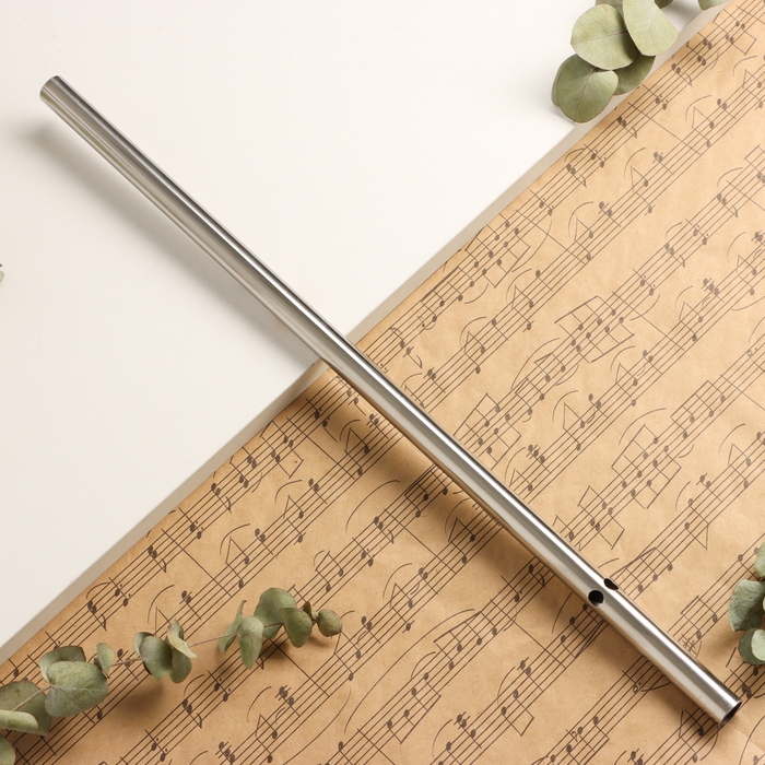 Флейта Music Life 304, 46 см, нержавеющая сталь, тональность G Флейта Music Life 304, 46 см, нержавеющая сталь, тональность G