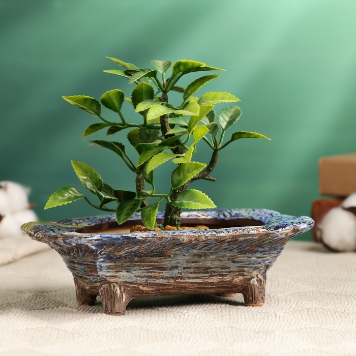 Горшок - бонсайница прямоугольная для кактусов и суккулентов, 16,5х11,5х5см Горшок - бонсайница прямоугольная для кактусов и суккулентов, 16,5х11,5х5см