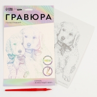 Гравюра. Набор гравюр «Звери», А5, 4 шт