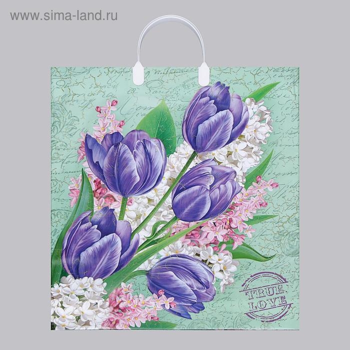 Пакет Пакет "Беатрис", полиэтиленовый с пластиковой ручкой, 100 мкм 40 х 44 см