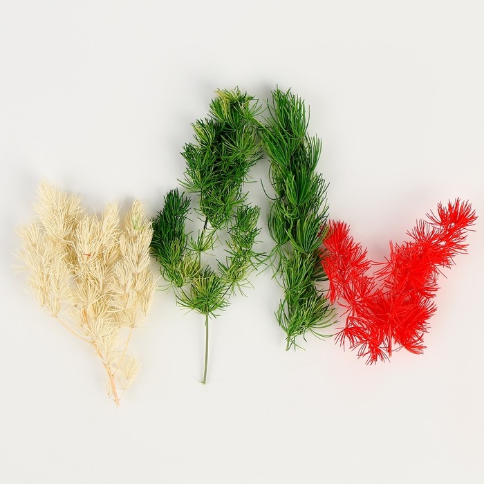 Набор сухоцветов «Яркий день», цвет МИКС Набор сухоцветов «Яркий день», цвет МИКС