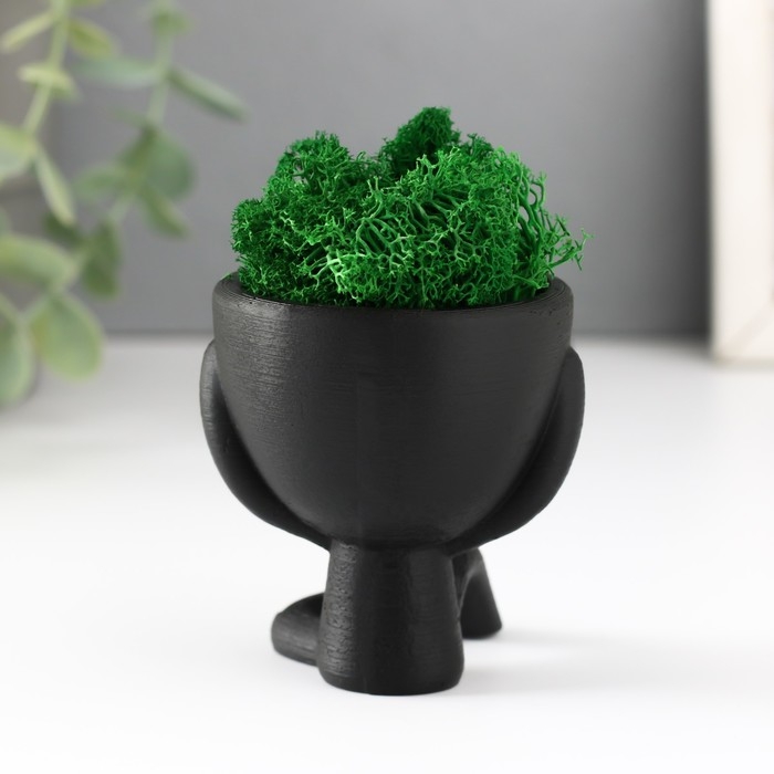 Кашпо бетонное мини Кашпо бетонное мини "Мистер Грин" Ивадзару со мхом черный 5,5х6,5х6,5 см (мох зел стабил.)