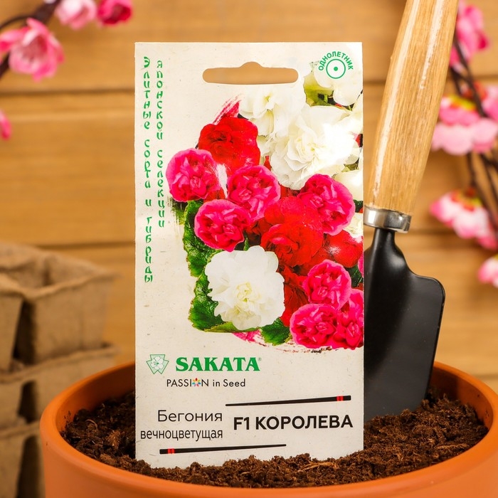Семена цветов Бегония  Семена цветов Бегония "Королева", F1, вечноцветущая, махровая, смесь, гранулы, 4 шт