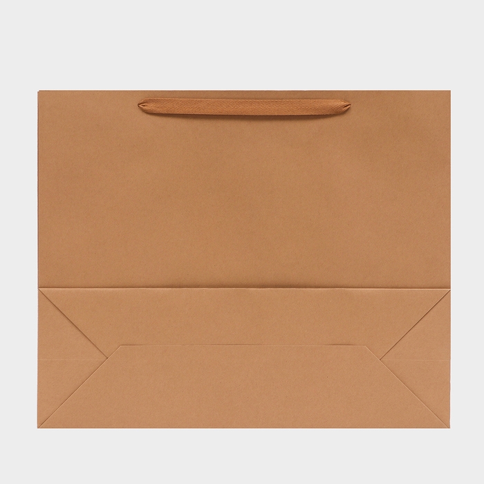 Пакет крафт без печати, 53 х 43.5 х 18 см 210 гр Пакет крафт без печати, 53 х 43.5 х 18 см 210 гр