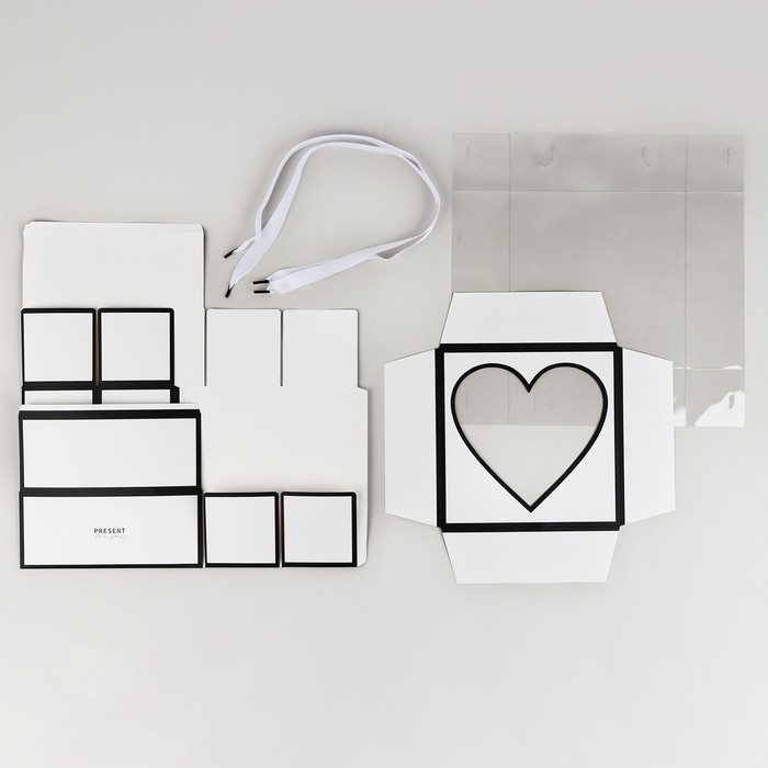 Коробка для цветов с формовым вкладышем и PVC крышкой «Present», 23.5 х 23.5 х 15 см Коробка для цветов с формовым вкладышем и PVC крышкой «Present», 23.5 х 23.5 х 15 см
