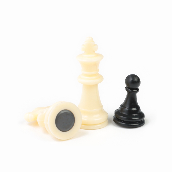 Настольная игра 3 в 1  Настольная игра 3 в 1 "Зук": нарды, шахматы, шашки, магнитная доска 24.5 х 24.5 см