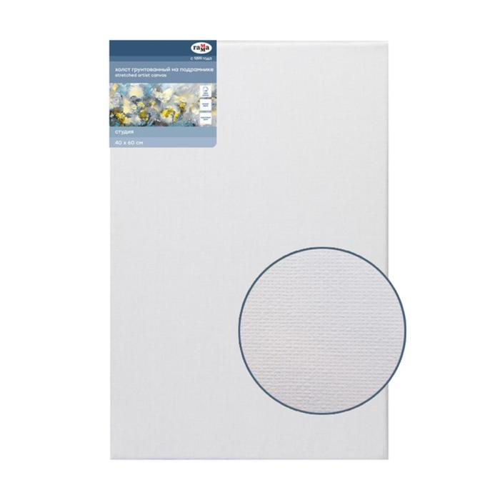 Холст на подрамнике, хлопок 100%, 40 х 60 х 1,8 см, акриловый грунт, мелкозернистый Холст на подрамнике, хлопок 100%, 40 х 60 х 1,8 см, акриловый грунт, мелкозернистый "Студия"