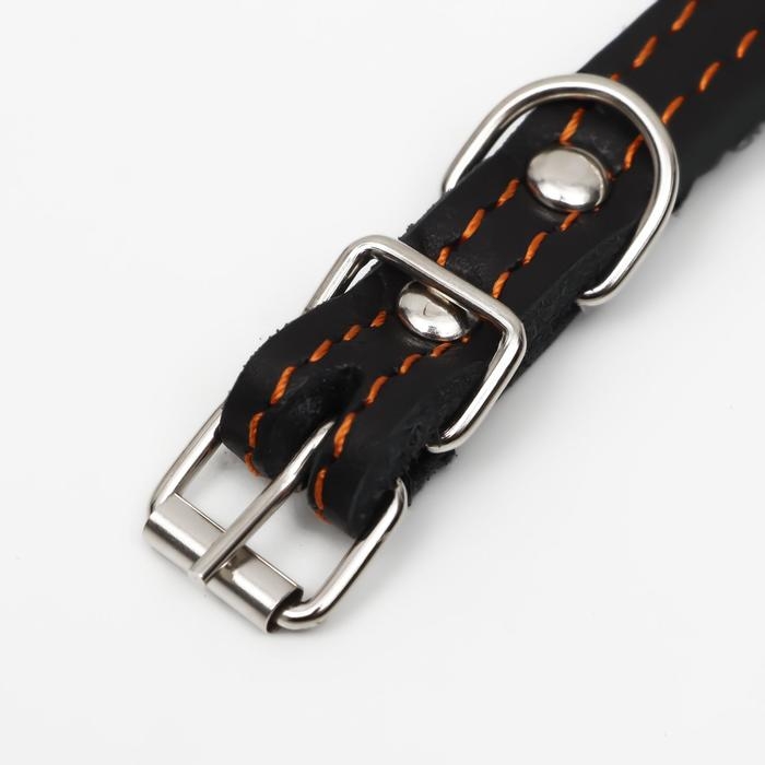 Ошейник кожаный на синтепоне, безразмерный, 37 х 1.5 см, ОШ 21-31 см, чёрный Ошейник кожаный на синтепоне, безразмерный, 37 х 1.5 см, ОШ 21-31 см, чёрный