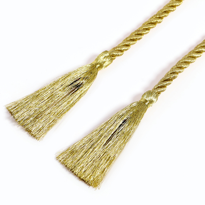 Тесьма с кистями «Жгут», длина 110 см, упаковка 10 шт. Тесьма с кистями «Жгут», длина 110 см, упаковка 10 шт.