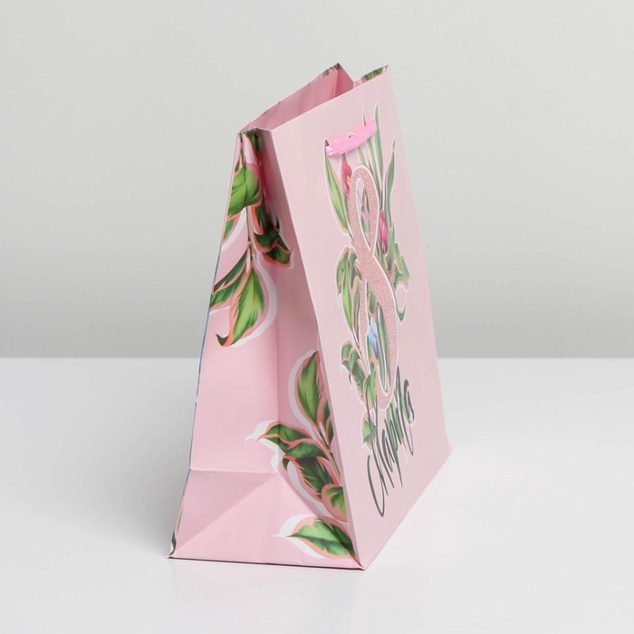 Пакет подарочный ламинированный горизонтальный, упаковка, «С праздником», MS 18 х 23 х 8 см Пакет подарочный ламинированный горизонтальный, упаковка, «С праздником», MS 18 х 23 х 8 см