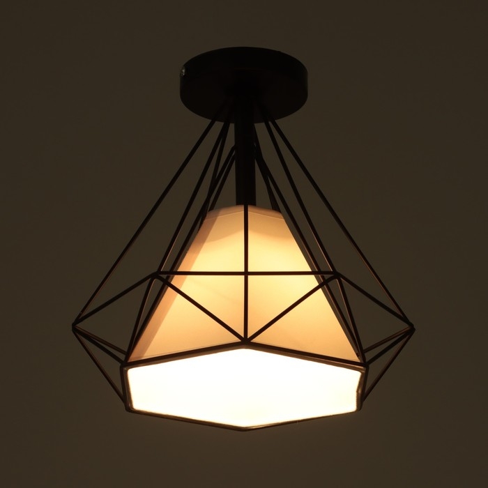 Светильник 2136/1BK E27 40Вт черный 25х25х26,5 см BayerLux