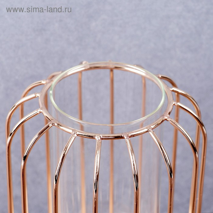 Ваза-флорариум "Ангстрем" 9х20 см, колба в подставке, золото