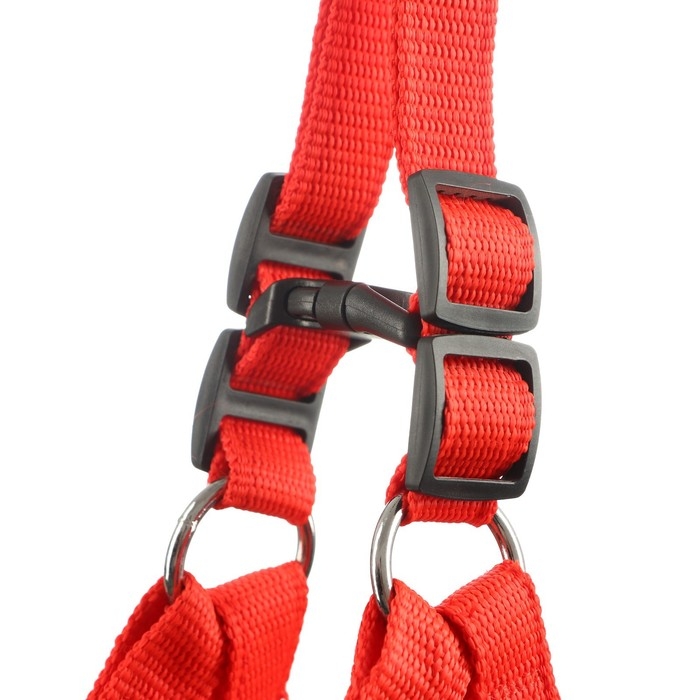 Шлейка Шлейка "Комфорт" комбинированная, 2 см, ОШ 40-60 см, ОГ 44-62 см, красная