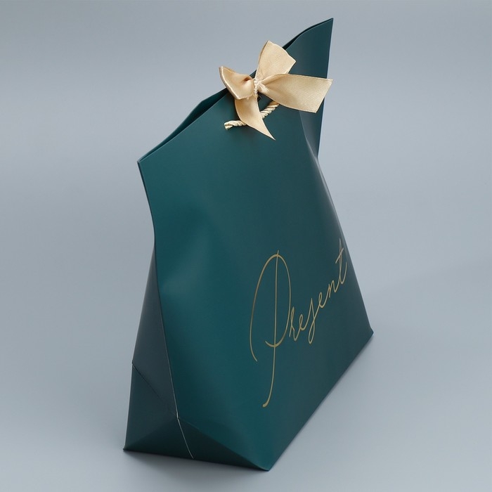 Пакет подарочный, упаковка, Present, 26 х 25 х 11 см Пакет подарочный, упаковка, Present, 26 х 25 х 11 см