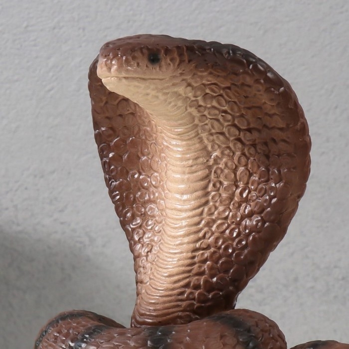 Фигурка Фигурка "КОБРА НА СУНДУКЕ" 20 х 17 х 12 см.