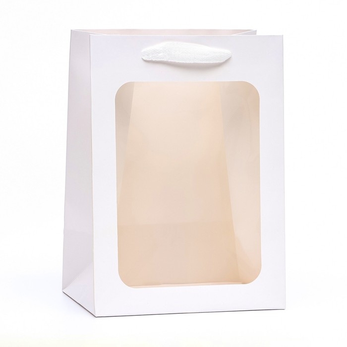 Пакет подарочный, с окном, 25 х 18 х 13 см, белый, 1шт. Пакет подарочный, с окном, 25 х 18 х 13 см, белый, 1шт.