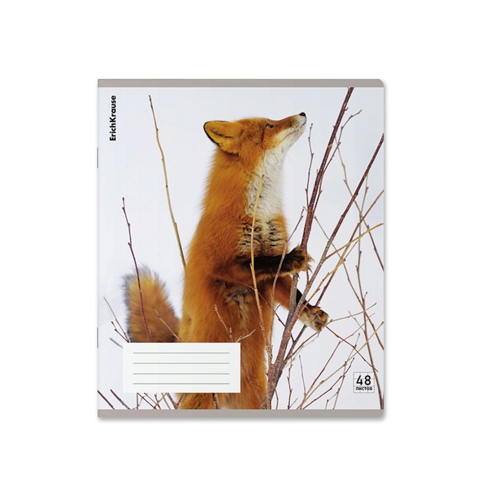 Тетрадь В5, 48 листов в клетку, ErichKrause Тетрадь В5, 48 листов в клетку, ErichKrause "Лисы", пластиковая обложка, блок офсет 100% белизна, МИКС