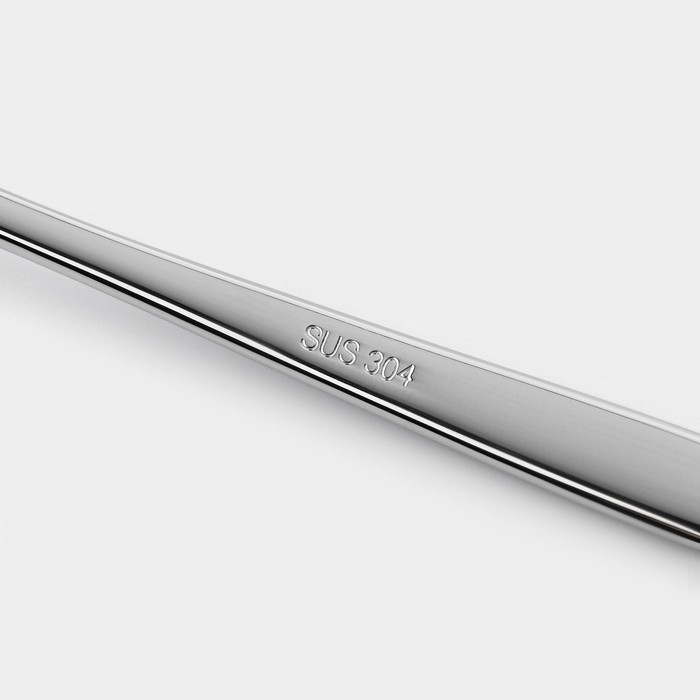 Набор чайных ложек из нержавеющей стали «Джентри», длина 16 см,6 шт, цвет серебряный Набор чайных ложек из нержавеющей стали «Джентри», длина 16 см,6 шт, цвет серебряный