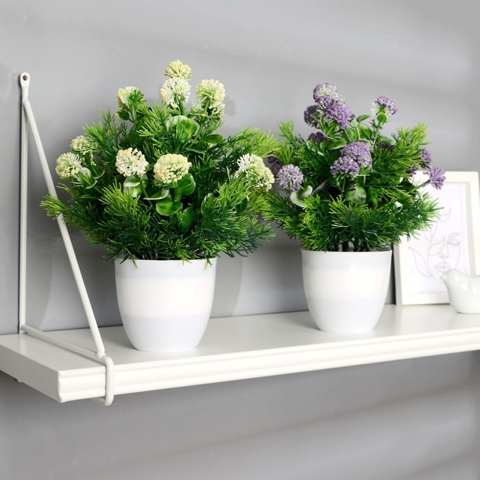 Бонсай в горшке Бонсай в горшке "Лук голубой" 11х25 см,(h горшка=8,5см) микс