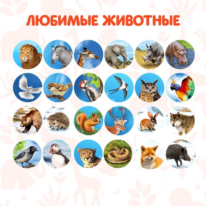 Проектор-фонарик «Мир зверей», световые эффекты, 3 слайда, 24 картинки, МИКС Проектор-фонарик «Мир зверей», световые эффекты, 3 слайда, 24 картинки, МИКС
