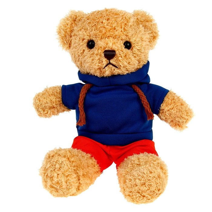 Мягкая игрушка «Мишка в кофточке», цвета МИКС
