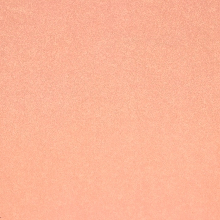 Пергамент флористический  Пергамент флористический "Кофейный" 0,6 х 10 м, 52 г/м2