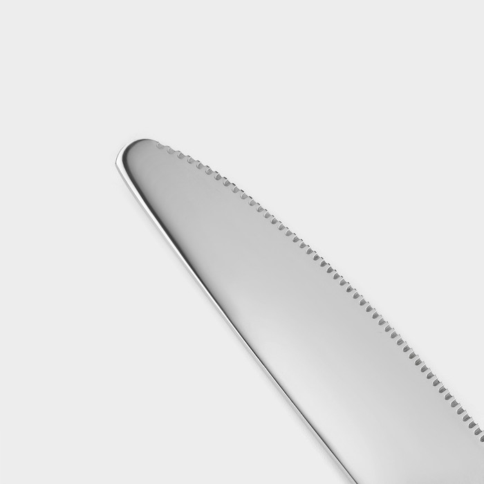 Столовые приборы из нержавеющей стали Magistro &laquo;Версаль&raquo;, 4 предмета, цвет серебряный