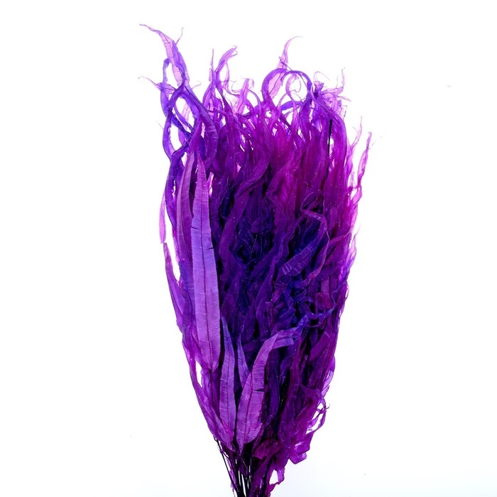 Сухоцвет «Ситник», фиолетовый, 15 шт. в упаковке Сухоцвет «Ситник», фиолетовый, 15 шт. в упаковке