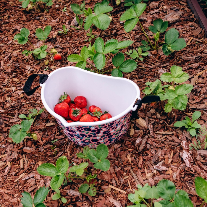Ёмкость для сбора ягод, 3 л, «Ягодный», белая