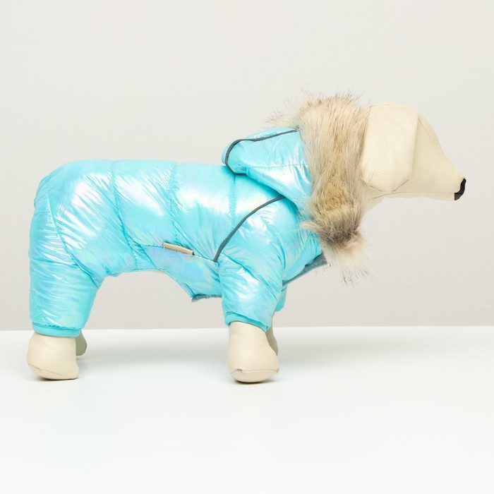 Комбинезон Комбинезон "Глянец", размер 8 (ДС 23, ОГ 30, ОГ 22), голубой