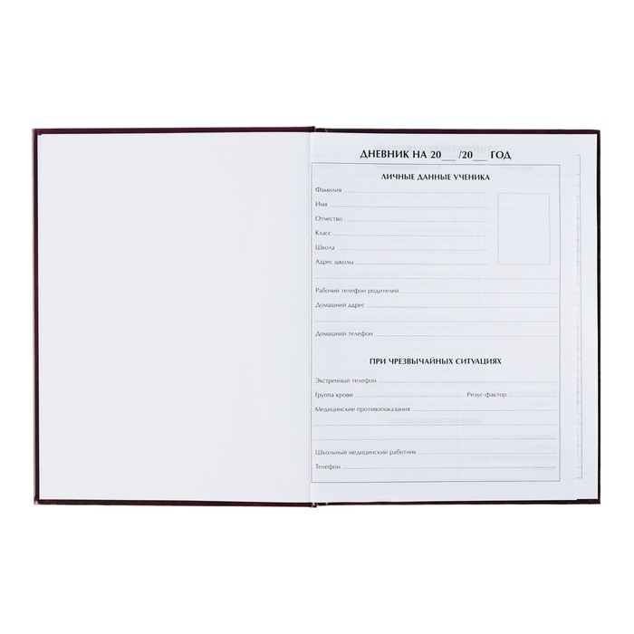 Дневник универсальный для 1-11 классов, Дневник универсальный для 1-11 классов, "Коты 3", твердая обложка 7БЦ, глянцевая ламинация, 40 листов