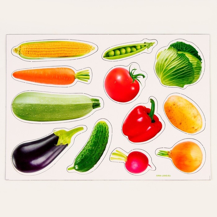 Магнитная игра «Овощи» Магнитная игра «Овощи»