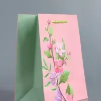 Пакет подарочный ламинированный &laquo;Нежный комплимент&raquo;, розовый, 18&times;22.3&times;10 см