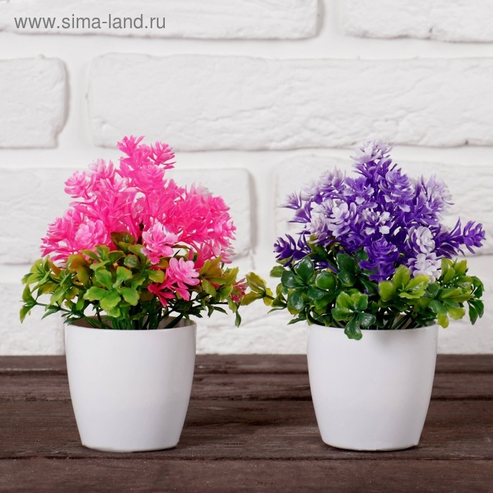 Бонсай в горшке Бонсай в горшке "Азалия" 6х15 см, микс