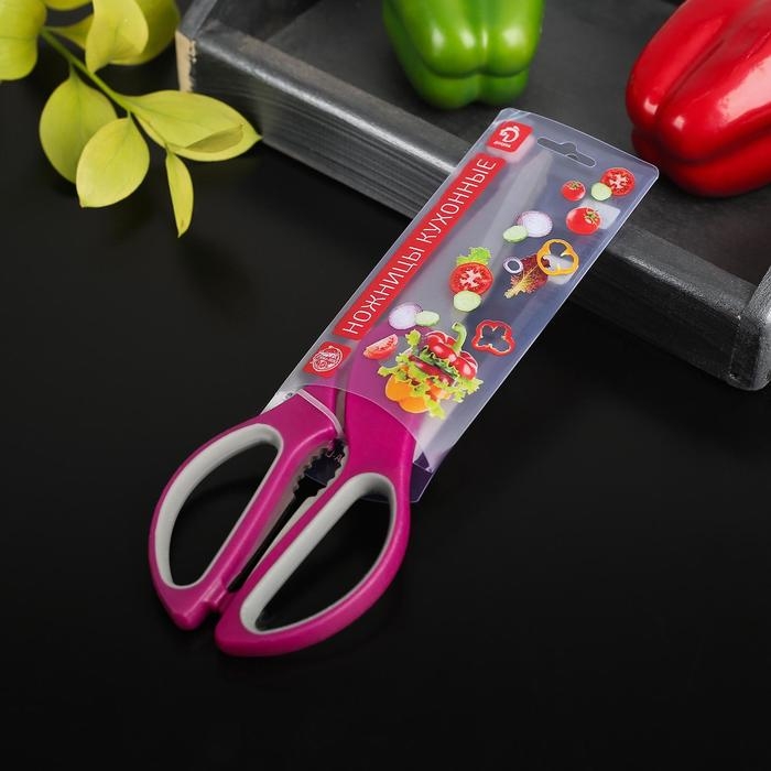 Ножницы кухонные Доляна «Генри», 23 см, цвет МИКС Ножницы кухонные Доляна «Генри», 23 см, цвет МИКС