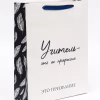 Пакет подарочный ламинированный вертикальный &laquo;Учителю&raquo;, 31&times;40&times;11.5 см