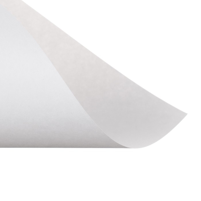 Бумага для рисования А4, 100 листов  Бумага для рисования А4, 100 листов "Совенок" Calligrata, 80г/м2, в папке